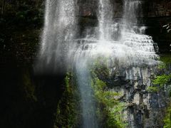 -鹿院坪生态旅游景区