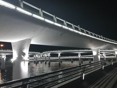 -演武大桥观景平台