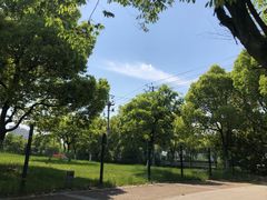 -九里河湿地公园