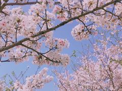 -上海山野camping·户外天幕烧烤·团建拓展营地