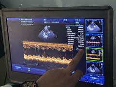 -pd派德宠物中心医院24H急重症·眼科中心·血液透析中心(嵩山北路店)