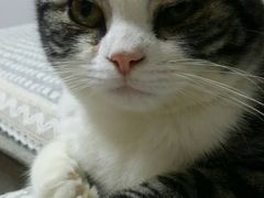 -惠康宠物医院(华能路店)