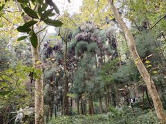 -青城山