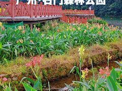 -广州市石门国家森林公园