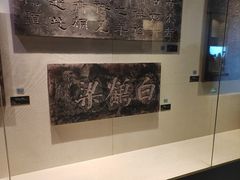 -白鹤梁水下博物馆