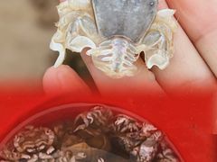 -青岛石老人海水浴场