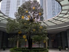 -澜亭中餐厅·一线江景·尊蓝豪华精选
