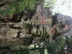 android_upload_pic-同里国家湿地公园