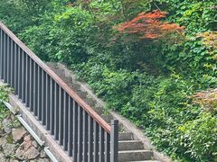 -西湖风景区-江洋畈生态公园