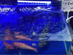 -有喜胶东小馆(超极合生汇太申祥和店)