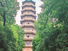 -灵谷景区