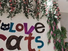 -藏猫猫咖啡主题馆(中央大道店)