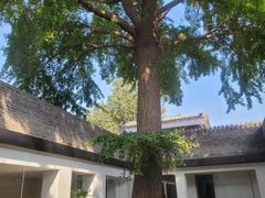 -自如ZSPACE四合院艺术餐厅