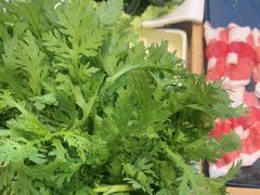 -草原塞蛮羊火锅城(港湾店)