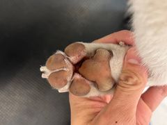 -comecome来吧宠物(奥克斯中心店)