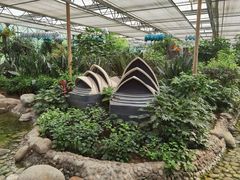 -南宫五洲植物乐园
