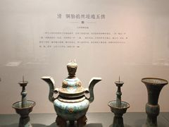 -天津自然博物馆