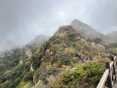 -大岭沟猕猴桃谷风景区