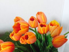 -奥美花店(天津市住房公积金管理中心河东管理部店)