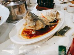 -大鸽饭(马王堆店)