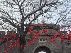 -魏氏庄园