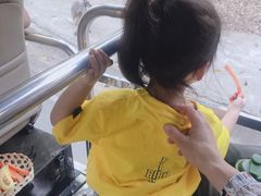 -清迈夜间动物园