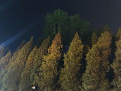 -北戴河东海水浴场