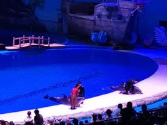 -华夏文旅海洋公园