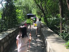 -碓臼峪自然风景区