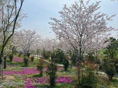 -南通洲际绿博园