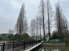 -黄兴公园