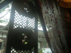 -三只耳火锅(宽窄巷子店)