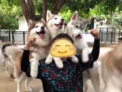 -TrueLove @ Neverland (Husky Cafe)