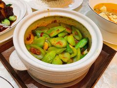 砂锅大芥兰-人间采蜜(海信广场店)