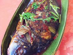炖水库鱼-鑫淼馫农家乐餐馆