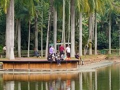-西双版纳原始森林公园