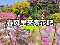 -狐尾山公园