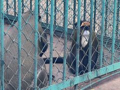-秦皇岛野生动物园