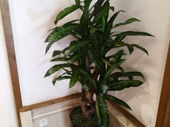 -中国徽菜·徽商故里(广安门店)