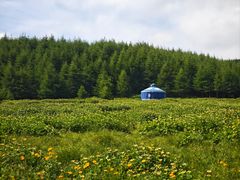 -红崖峡谷景区