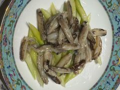-新光酒家·河豚·海鲜·蟹料理(浦东店)