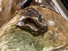 -盛宴标帜餐厅·亲子自助 (南昌喜来登酒店)