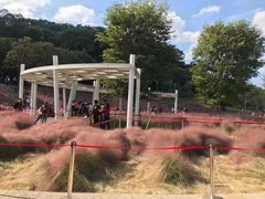 -牛岗山公园