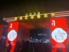 -广州长隆国际大马戏