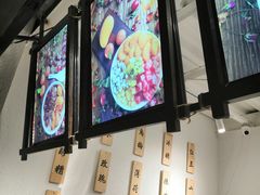 -禅泉冰粉(24城店)