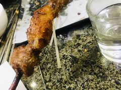 红柳大串-老大烧烤(铁新里店)