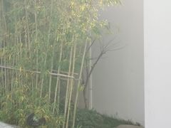 -南京夫子庙石唯玉雨花石酒店
