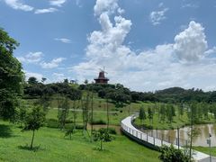 -东莞植物园