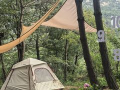 -沂蒙山旅游区云蒙景区(蒙山国家森林公园)