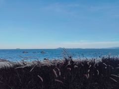 -黄金海岸环岛路